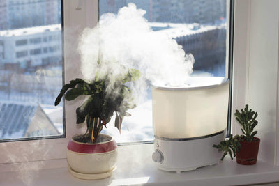 How a Mini Humidifier Can Improve Your Indoor Air Quality